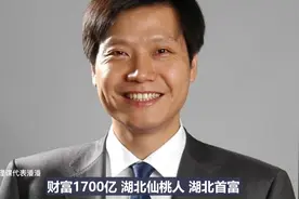 2020湖北十大富豪！黄冈上榜4人，雷军问鼎湖北首富！视频封面
