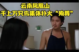 真实故事 云南凤凰山 飞鸟扑火成千上万只鸟集体扑火“殉葬”视频封面