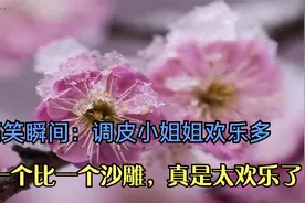 搞笑瞬间：调皮小姐姐欢乐多，一个比一个沙雕，真是太欢乐了！视频封面