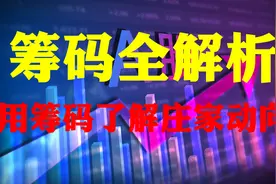 筹码全解析——教你用筹码了解庄家主力的动向视频封面