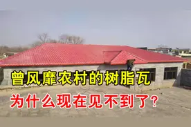 当年火爆农村的树脂瓦，如今为什么没人用了？3分钟了解真相视频封面