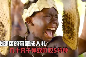 亚马逊原始部落成人礼，用几十只子弹蚁叮咬5分钟，看完瑟瑟发抖视频封面