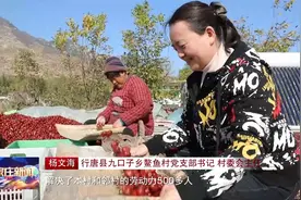 石家庄行唐：大红枣 深加工 身价倍增富农家视频封面