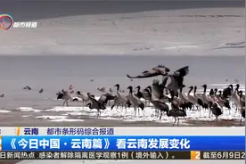 《今日中国·云南篇》看云南发展变化视频封面