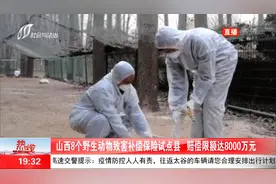 山西省8个野生动物致害补偿保险试点县，赔偿限额达8000万元视频封面