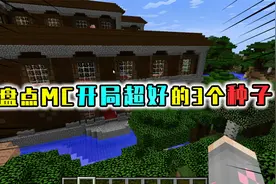 盘点MC适合生存的3个种子，开局就是大村庄加矿洞，都不用努力了视频封面