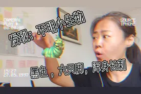 好害怕！一只浑身长满黑刺，六只脚的黑家伙趴在儿子脚边