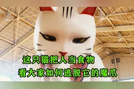 这只猫真是太可怕了，一口就吞掉一个人@西瓜视频创作中心视频封面