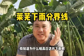 莱芜下雨分界线视频封面