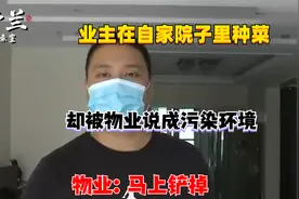 业主在自家院子里种菜，却被物业说成污染环境，物业：马上铲掉视频封面
