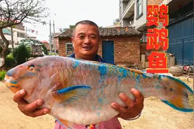 920买条大鹦鹉鱼，铁锅烧大鱼太好吃，鱼鳞油炸嘎嘣脆，赚大了！视频封面