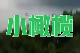 怀旧金曲《小橄榄》王洁实谢莉斯视频封面