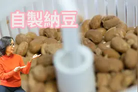 自制纳豆方法，纳豆功效，孕妇吃纳豆的好处，什么时候不能吃纳豆