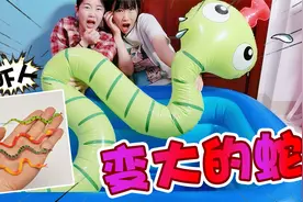 把玩具蛇泡游泳池里，再打开就能变成大蟒蛇？真的太吓人了视频封面