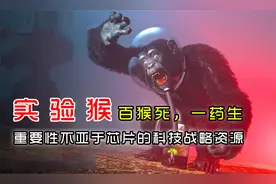 实验猴——重要性不亚于芯片的科技战略资源视频封面