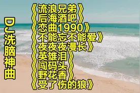 DJ爆红老歌【10首大串烧】《恋曲1990》《后海酒吧》《流浪兄弟》