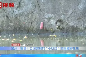 别随意食用！公园突现“小粉红”系福寿螺卵，暗藏寄生虫切勿触碰视频封面