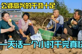 家里又多一个劳动力，公婆高兴干劲十足，一天活一个小时干完真快视频封面