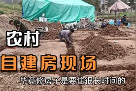 农村自建房需要什么样的材料才标准？二娃来分享以及注意事项视频封面