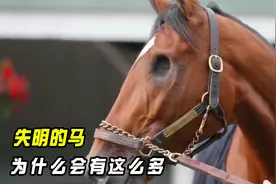 为什么会有这么多马是失明的？