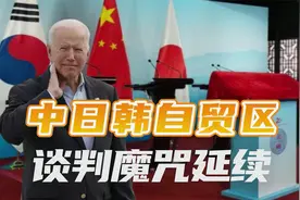 中日韩自贸区迎来曙光（下）：一提自贸区就出事，谈判魔咒待破除视频封面