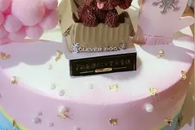 外围三种颜色 造型狗狗 两位美女要的 植物奶油148 还可以吧