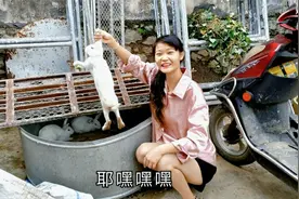 过两天就是我21岁的生日了，告诉你们我是属兔的，知道是哪一年吗视频封面