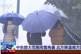 中央气象台 中东部大范围雨雪再袭 北方降温南方湿冷视频封面