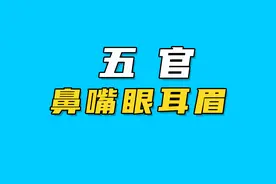 “五官”是哪五官你知道吗？“五官”的秘密又有哪些呢？视频封面