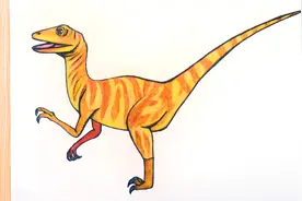 彩铅画恐龙系列，怎样绘画恐爪龙？