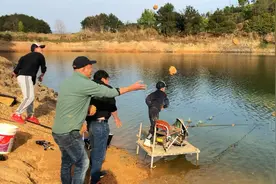 鲢鳙闹窝火大了，今天叫上兄弟们一起用黄泥球狂轰乱炸，再补重窝