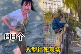 88个大型社死尴尬瞬间，人类搞笑翻车名场面，这也太搞笑了吧视频封面