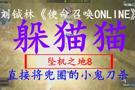 绝版游戏《使命召唤ONLINE》躲猫猫：坠机之地8