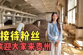 东北男粉丝来贵州，参观酱香酒酿造过程，还夸小酒妹漂亮视频封面