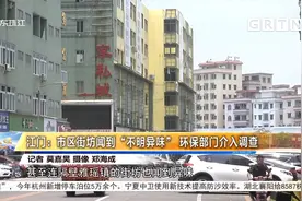 江门：市区街坊闻到“不明异味” 环保部门介入调查视频封面