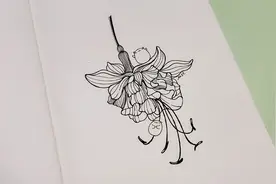 简笔画过程视频，用一支中性笔，教你画一朵倒挂金钟花视频封面