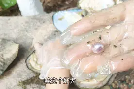 珍珠开蚌，丽芳开大蛤蜊取出好多珍珠，这一颗非常大应该很值钱