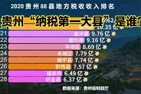 2020贵州省88个县税收收入排名，猜猜贵州“纳税第一大县”是谁？视频封面