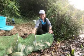 云姐夫妻深山水库夜钓爆护了，5斤草鲮溜的手发酸，大罗非连杆视频封面