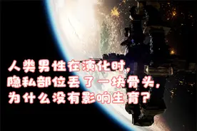 人类男性在演化时，隐私部位丢了一块骨头，为什么没有影响生育？