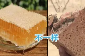 旅游买到“蜂巢蜜”硬似石头 专家：假的不能再假了！视频封面