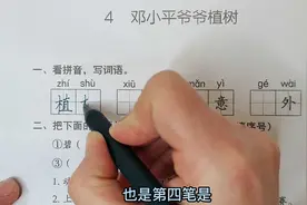 二年级语文下册第4课：同步测试，植树过程具体怎么写（附答案）视频封面