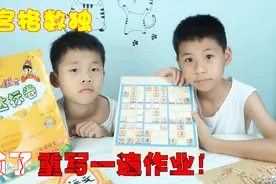 打开孩子思维的利器，兄弟俩挑战高难度数独棋盘，输了要重写作业视频封面