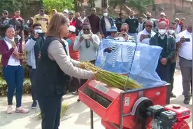 马达加斯加引进杂交水稻，亩产0.8吨，中文在当地越来越受欢迎视频封面