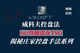 主力控盘手法系列：庄家制造的终极震仓让底部跟风抢购筹码者缴枪视频封面