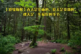 【舒缓助眠】春天是多雨的，夏天是炎热的，秋天是一年最好的季节视频封面