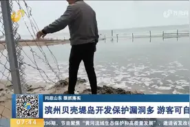 滨州贝壳堤岛开发保护漏洞多，游客随便进出无人管，记者实地调查视频封面