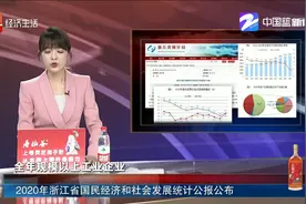 2020年浙江省国民经济和社会发展统计公报公布视频封面