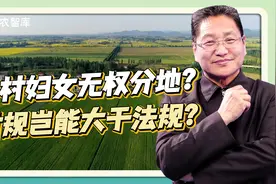农村女性无权分地？朱启臻：村规民约不能大于法律法规视频封面