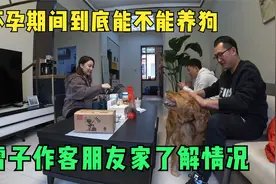 怀孕期间到底能不能养狗，朋友媳妇怀孕5个月，家里金毛一直在养视频封面